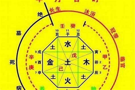 喜神是水|八字的喜用神与忌神详解